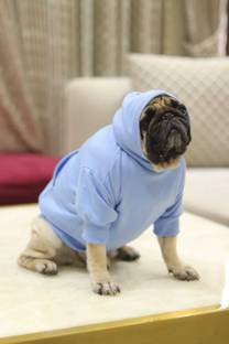 Baeship Hoodie for Dog