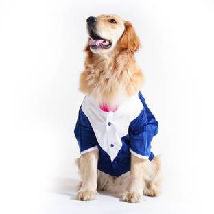 Barks & Wags Tuxedo for Dog