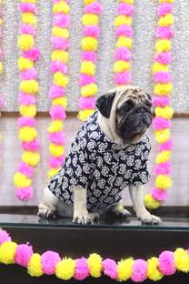 Baeship Dress for Dog