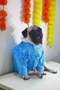 Baeship Shirt for Dog