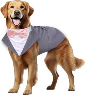 Buraq Tuxedo, Costume for Dog