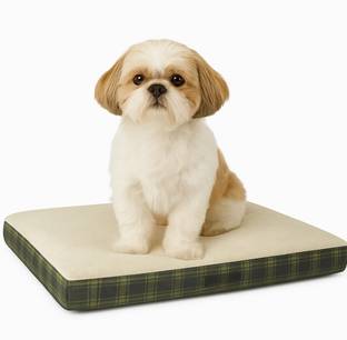 PAWPOURRI Dogs & Cats Premium Ultra Soft and Warm S Pet Bed