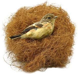 coir Natural Coco Fiber Nesting Material For All Birds and Small Animals Bird House