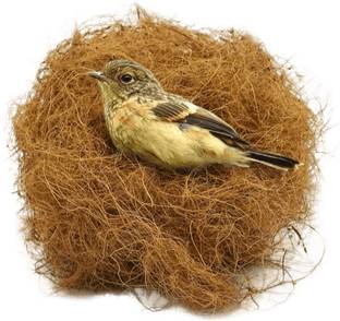 coir Natural Coco Fiber Nesting Material for 4 Finches Nests Bird House S Pet Bed