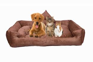 Heaven Luxurious Reversible Dual Soft Velvet Luxury Sofa PET Bed for Dog CAT Puppy Rabbit XL Pet Bed