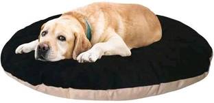 Trendy Smile Simple Rounded Pillow/ Gaddi/ Takiya For Dog And Cat M Pet Bed