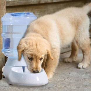 BHADIYADRA EMPIRE Plastic Pet Bowl & Bottle