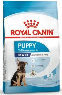 Royal Canin "RYLCN Maxi Puppy Dog Food 10kg | Balanced Diet for Healthy Large Breed Puppies" Dog Chew