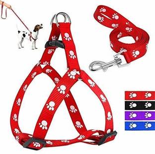 Woofy Paw Print Leash and Harness Set for Small & Medium Puppy Bell Dog & Cat Collar Charm