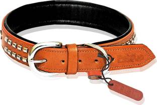 Petsup neck collar leather belt for labrador and puppy collars belts with tag name Dog & Cat Everyday Collar
