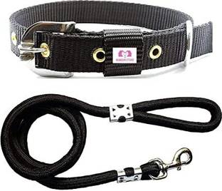 Hundur Store Dog Collar & Leash