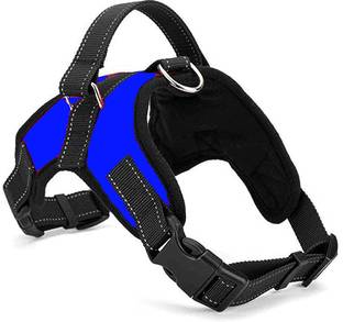 PETSPOPULAR Blue Comfort Fit Dog Harness: Secure, Adjustable, and Stylish Dog Harness & Leash