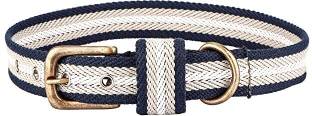Sparrow Daughter Cotton Dog Collar | Neck Belt for All Breeds- (18 X 1 Inch) Dog Everyday Collar
