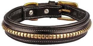 Sparrow Daughter SOFT PAD LEATHER DOG COLLAR Dog Everyday Collar