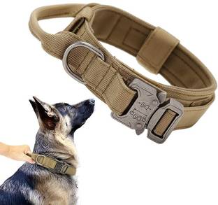 PATPAT Adjustable Dog Collar with Strap Handle,Dog Collar for Medium Dogs Dog Everyday Collar
