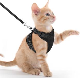 Berlin's Escape Proof No Pull Cat Harness with Leash for Outdoor, Walking Cat Harness Cat Harness & Leash