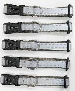 Rexalt Dog & Cat Everyday Collar