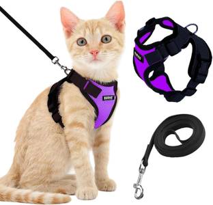 Buraq Cat Harness Wth Leash for Walking | Escape Proof | Air Mesh Fabric Cat Standard Harness