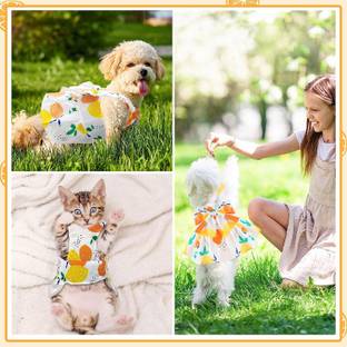 PETANGEL Dog Harness Dress and Leash Set Cute Bowknot Puppy Cat Princess Girl Dress Dog & Cat Harness & Leash