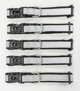 Rexalt Dog & Cat Everyday Collar