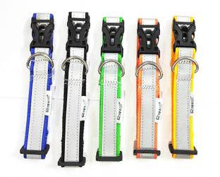 Rexalt Reflective Dog & Cat Everyday Collar