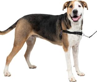 Paw Prints Premium No-Pull Dog Harness with Leash | Adjustable Dog Harness & Leash