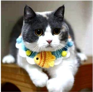 fashnita Cat Collar Cat Everyday Collar