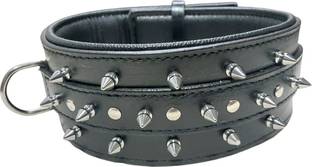 shagul Dog Show Collar
