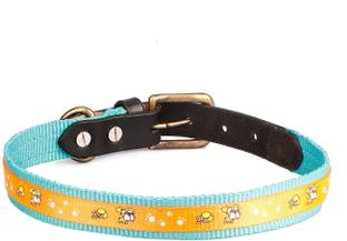 Sparrow Daughter Dog Everyday Collar