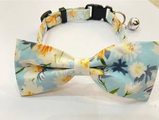 DogTrust Dog & Cat Everyday Collar