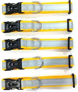 NAYANAR Dog & Cat Everyday Collar