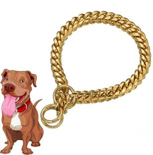Regiis Premium Dog Brass Golden Chain For Small Size Dogs Dog Everyday Collar Dog Collar & Chain
