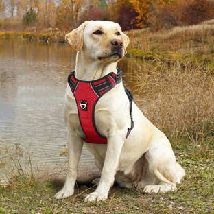 Subaka Dog Double Body Harness Dog Buckle Harness