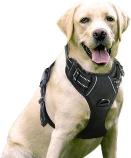 ADIOS Pet Harness with 2 Leash Clips, Adjustable Soft Padded Dog Vest, Reflective Dog Standard Harness