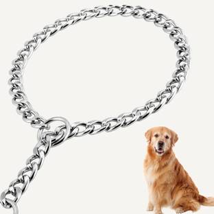 Regiis Dog Choke Chain Collar