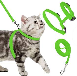 BODY BUILDING Adjustable Green Cat Harness & Leash