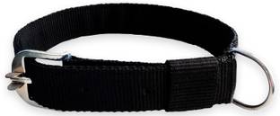 SUPER Dog Everyday Collar