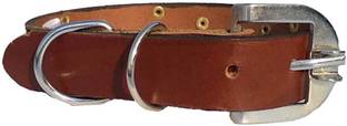 Peto lovers Leather Neck Belt Dog Show Collar