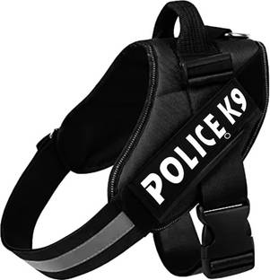 24x7eMall Dog Buckle Harness
