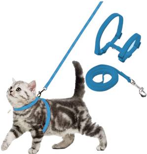 Buraq Cat Buckle Harness