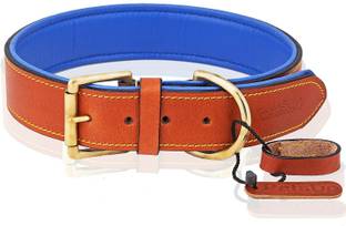 Petsup neck collar leather belt for labrador and puppy collars belts with tag name Dog & Cat Everyday Collar