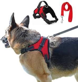 Aftra S Combo Pack Soft Comfortable Breakaway Closure Dog Harness & Leash