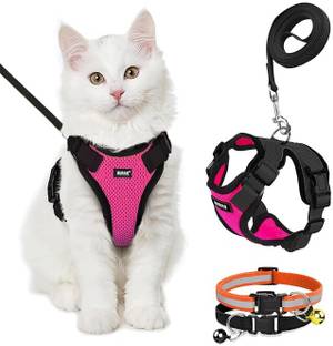 Buraq Cat Harness & Leash