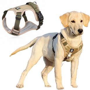 Qpets No Pull Dog Harness with Safety Reflective Strip for Small Medium Large Dogs Dog Standard Harness