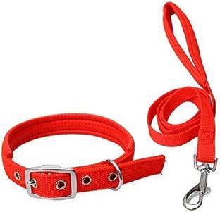 sachi sports Dog Collar & Leash