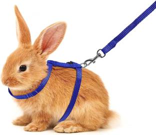 DOSAN Cat Harness Leash Nylon Set for Cat Rabbit Kitten BODYBELT Strap Training Lead Cat Harness & Leash