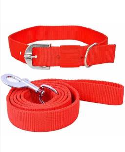 Aviean International Dog Belts (Waterproof, Medium, Leash Size 0.75 ) Dog Collar & Leash Dog Collar & Leash