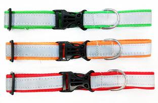 Rexalt Dog & Cat Everyday Collar