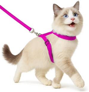 Buraq Cat Harness Full Body With Leash Set - For Walking | Escape Proof Cat Buckle Harness