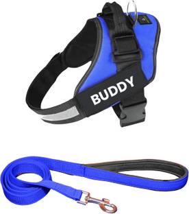 ALCAZAR Dog Vest Harness Leash Combo Set (S, Recommended for 5-13KG Pet) Dog Harness & Leash